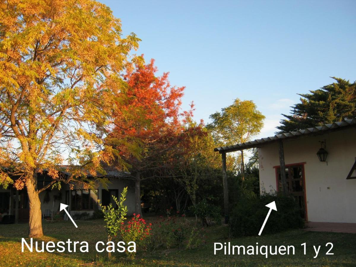 Pilmaiquen Villa Riachuelo Ngoại thất bức ảnh